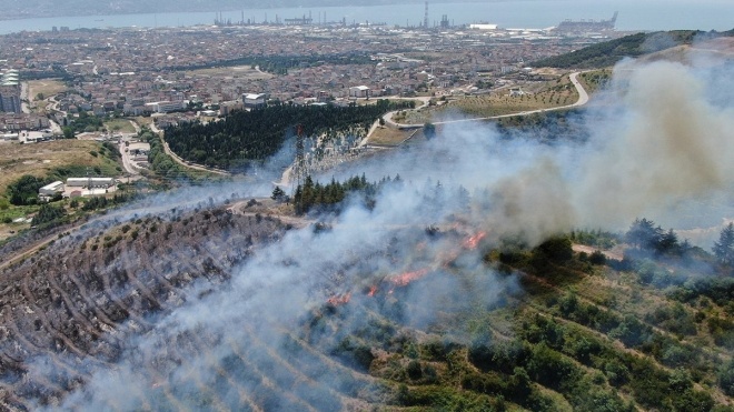 Лісові пожежі в Туреччині: вогонь дістався популярних курортів, є загиблі