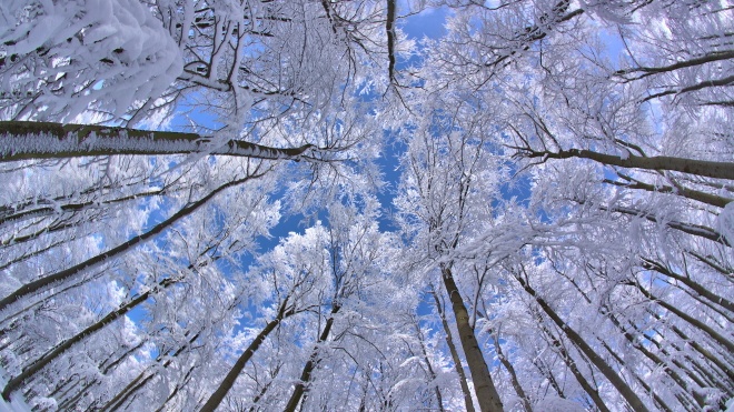 В Германии жалуются на людей, которые катаются на санях на территории бывшего концлагеря Бухенвальд