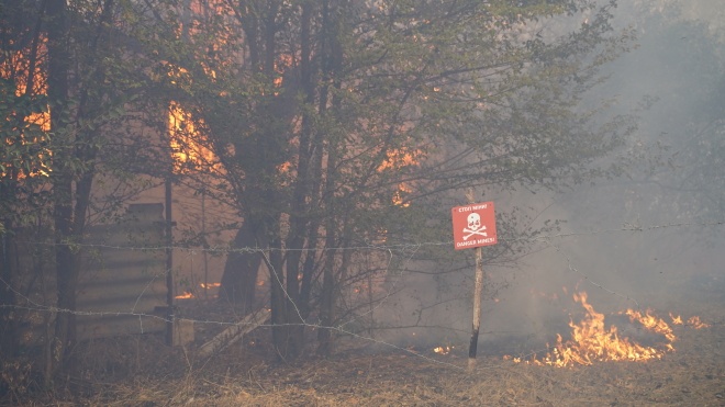 У Луганській області локалізували два осередки пожежі