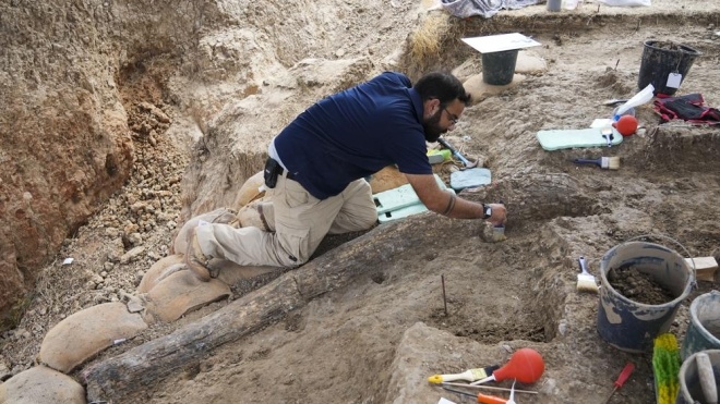 В Ізраїлі археологи знайшли гігантський бивень стародавнього слона