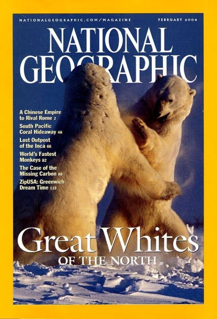 Февраль 2004 года. На фото двое самцов белых медведей. Они не могут охотиться, пока не замерзнет лед, поэтому с июля по ноябрь медведи живут за счет запасов жира. Но в последние годы лед стал таять раньше.