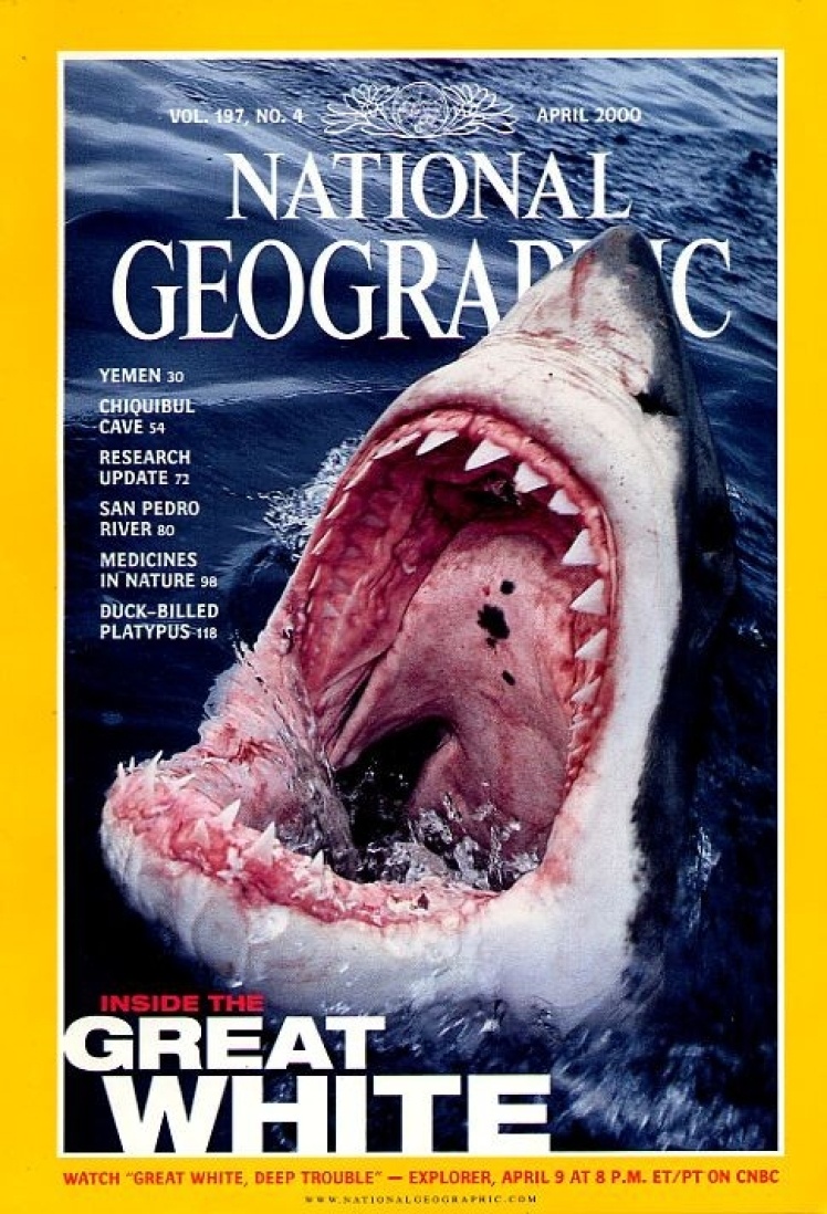 Апрель 2000 года. На фото пасть белой акулы. Центральный материал номера об угрозах, с которыми сталкивается этот морской хищник.