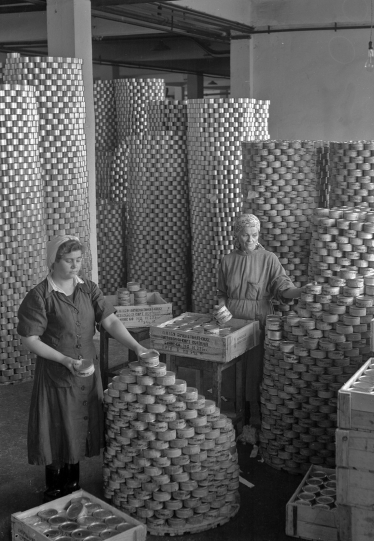 Упаковка готовой продукции на Керченском рыбоконсервном заводе, 1950-е годы.