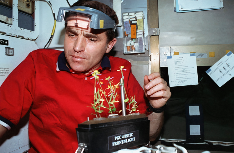 Leonid Kadenyuk conducts biological experiments in space during the mission from November 19 to December 5, 1997.