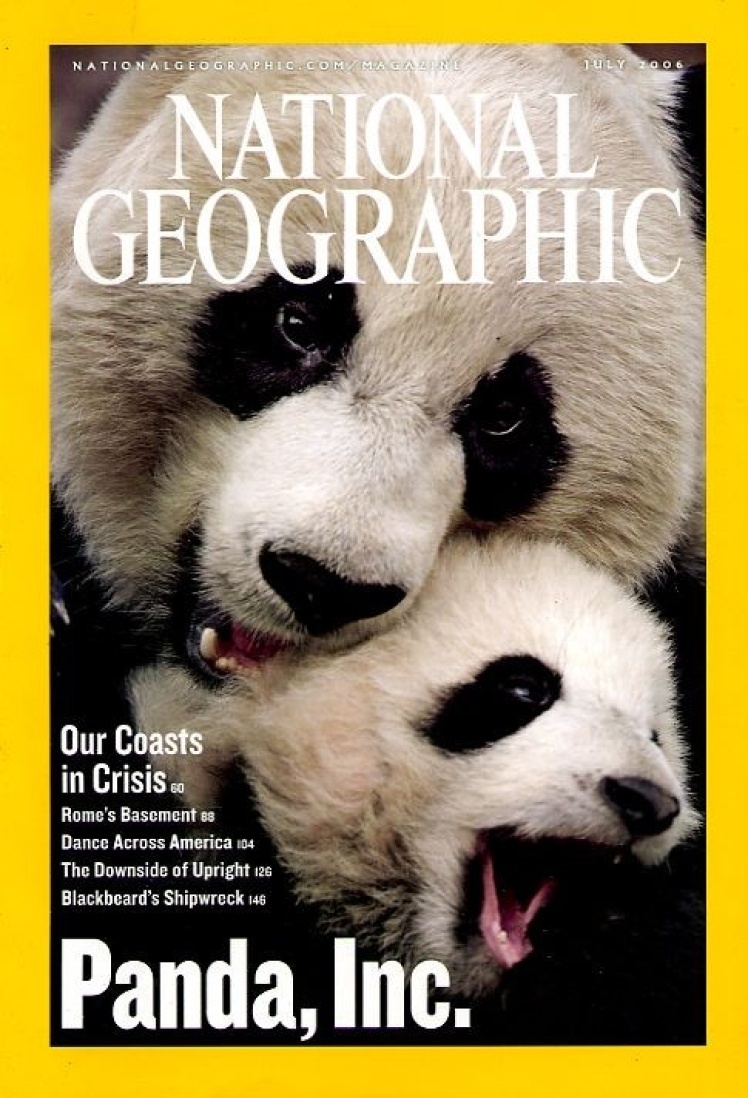 Липень 2006 року. На фото панда з дитинчам, народженим у Смітсонівському національному зоопарку у Вашингтоні.