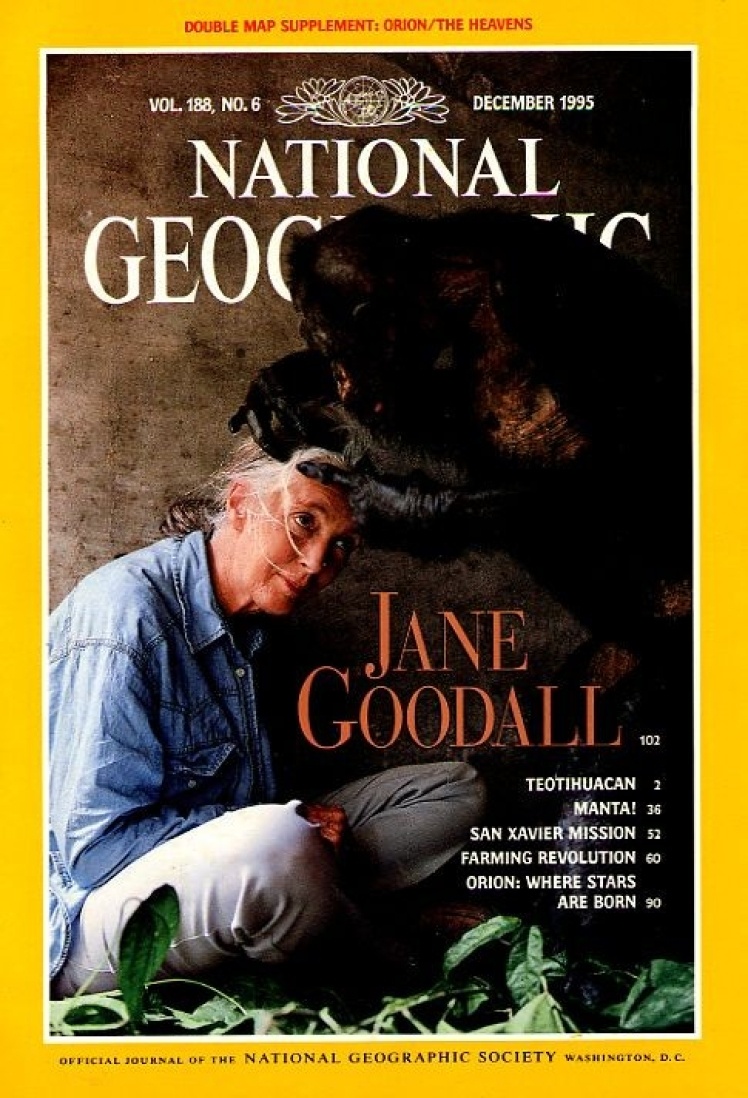 Грудень 1995 року. На обкладинці приматологиня Джейн Гудолл, яка понад 35 років вивчала шимпанзе в умовах дикої природи.