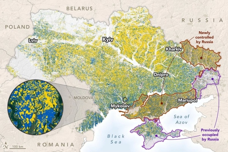 Distribution of spring and winter crops in Ukraine as of June 13, 2022