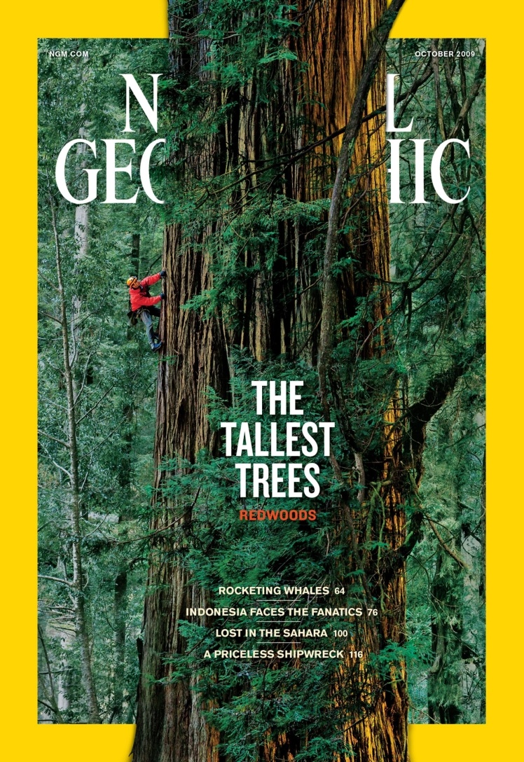 Жовтень 2009 року. Центральний матеріал номера про секвої Тихоокеанського узбережжя. На фото частина стовбура 1500-річного дерева заввишки понад 90 метрів.