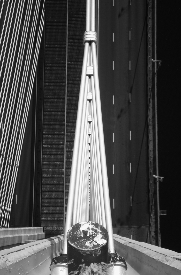 Кріплення вант на пілоні Південного мосту, 2010 рік.