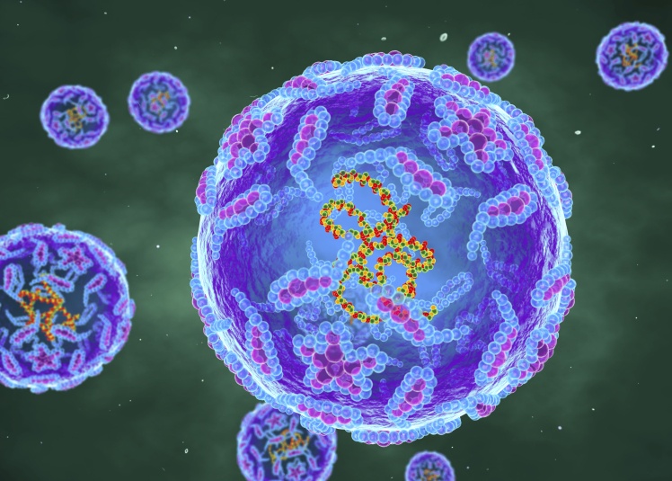 Схематическое изображение полиовируса. 