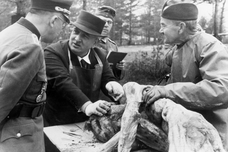 Người Đức đang kiểm tra các thi thể được tìm thấy trong rừng Katyn năm 1943. Người Đức đang kiểm tra các thi thể được tìm thấy trong rừng Katyn năm 1943.