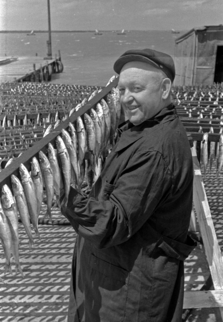 Бригадир коптильщиков Белгород-Днестровского рыбокомбината готовит очередную партию скумбрии к копчению, 1950-е годы.