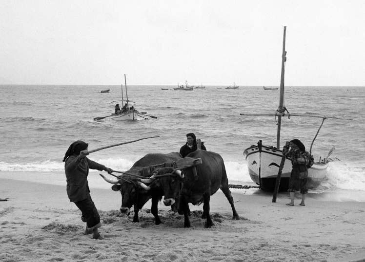 Португальские рыбаки, 1 января 1948 года.