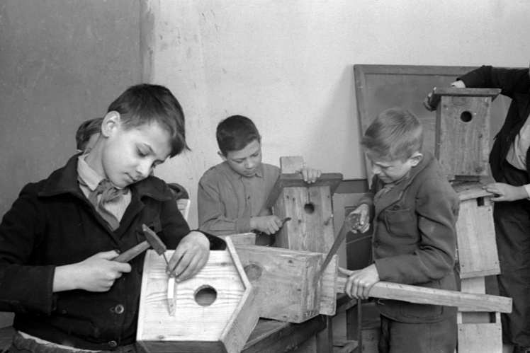 Члени гуртка юннатів Київської середньої школи № 74 майструють шпаківні, 10 березня 1948 року.